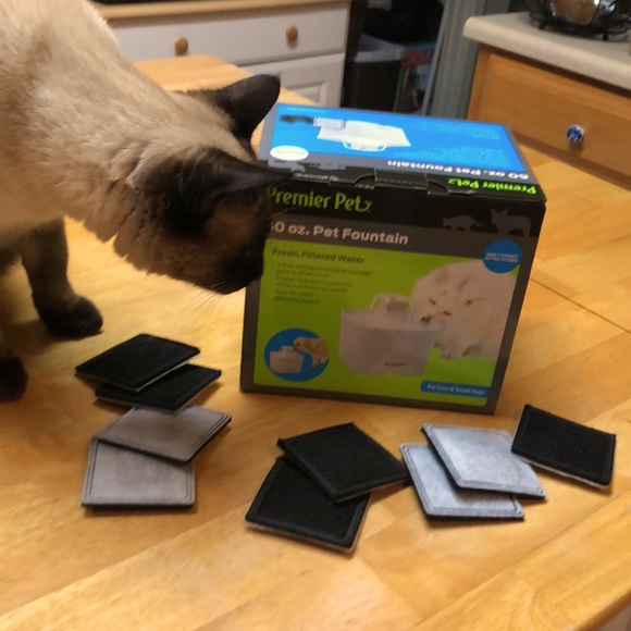 Pet Fountain 🐱 🐶 For Cats or Small Dogs ~by Premier Pets And 9 Extra Filters - Picture 7 of 8